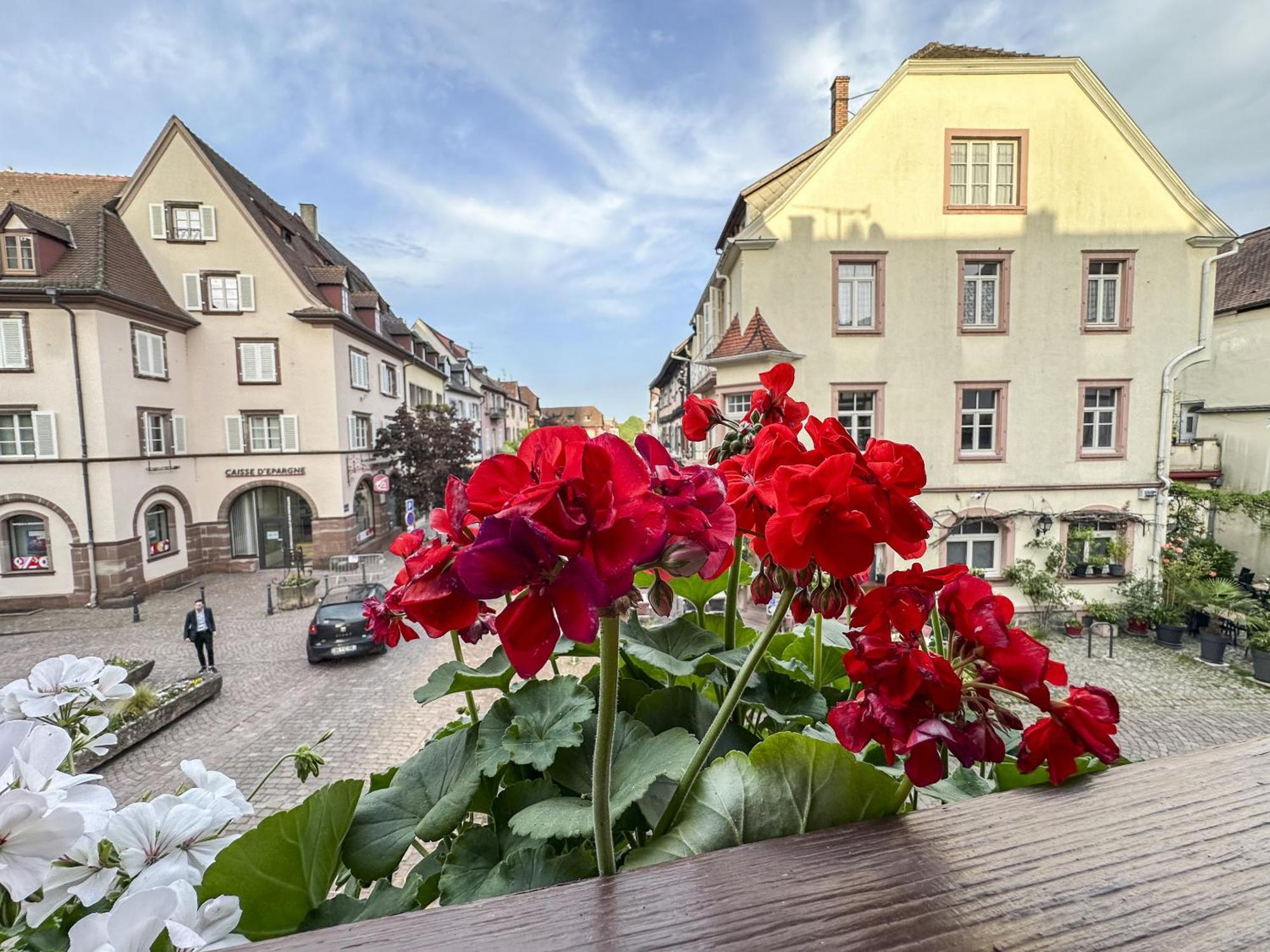 Origin'Alsace Apartment Kaysersberg-Vignoble Exterior photo